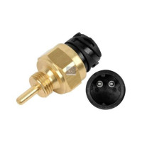 Sensor, motortemperatur