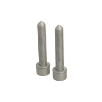 Skrue, bremsecaliper